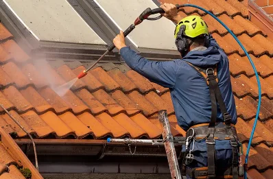 Démoussage et hydrofuge de toiture à Pirajoux